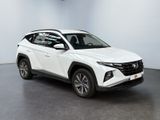 Photo 7/22 du lot