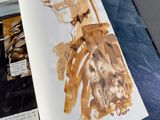 an open book with a picture of a skeleton on it