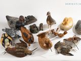 de nombreux types d'oiseaux exposés sur la table