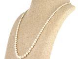 gros plan d'un mannequin portant un collier