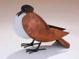 a bird that is sitting on the ground with a ball in its beak