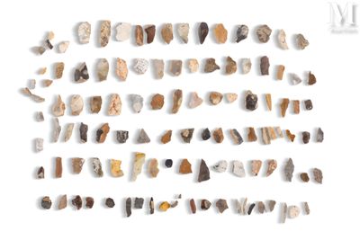 une image montrant une vaste collection de roches de différents types
