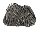 une pierre hérissée de pointes posée sur une surface blanche