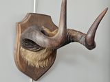 a deer head mounted on the wall of a room