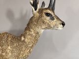 a fake deer that is standing on a table