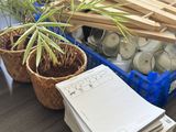 une pile de papiers et une plante posées sur une table