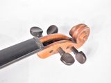 an overhead view of a violin on a white background