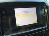 a picture of a picture of a fish on the screen of a car