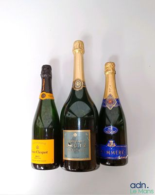 trois bouteilles de champagne sont alignées sur une surface blanche
