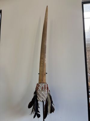 une image représentant un mur orné d'une longue corne et de plumes