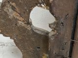 a wooden sculpture of a bird on a white surface