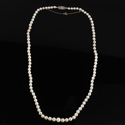 a white pearl necklace on a black background