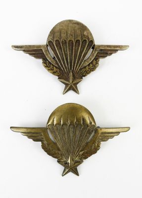 deux insignes militaires ornés d'ailes et d'une étoile sur fond blanc
