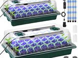 deux plantes vertes et bleues dans un pot en plastique, avec des outils de jardinage