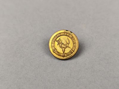gros plan d'une pièce d'or sur une surface grise