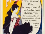 an advertisement for the sunday press featuring a woman sitting on a bed