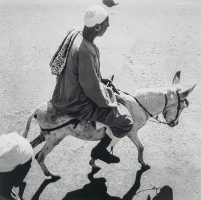 André GAMET (1919-2017) Égypte. Homme sur une mule à Gizeh, …