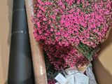 a box with a bunch of flowers inside of it