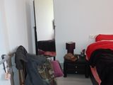 Photo 26/48 du lot