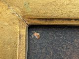 a picture of a close up of a corner of a door