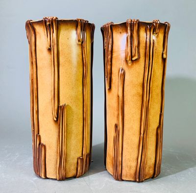 deux vases posés côte à côte sur une table