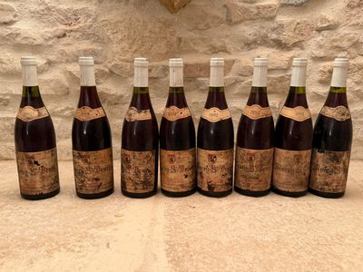 8 B Morey Saint Denis 1er cru "Clos Sorbets". - Photo 1