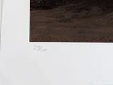 a picture of a picture of a person in a field