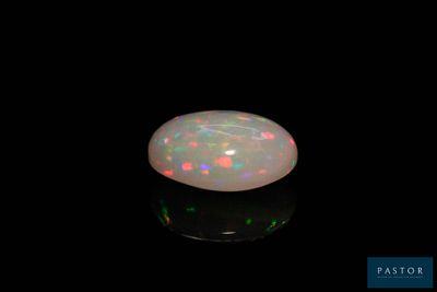 an oplite in the dark with a black background