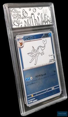 la carte se trouve dans un étui en plastique transparent sur lequel est représenté un dessin