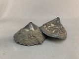 pair of antique silver plated bellows