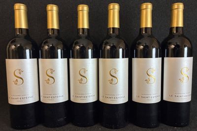 6 bouteilles de Saint-Estèphe, Alexandre Sirech, 2016 - Photo 1