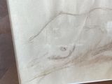 a drawing of a horse in a glass case on a table