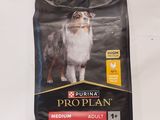 Croquettes pour chien « Proppian Medium Adult » au poulet et au riz