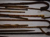 many different types of walking canes on a table