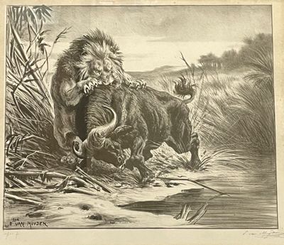 drawing of a lion attacking a buffalo in a river