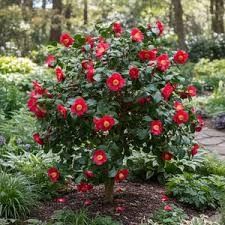 Destockage & Invendus