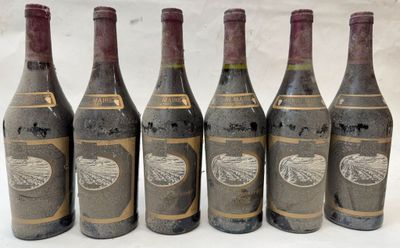 six bouteilles de vin sont alignées dans une rangée