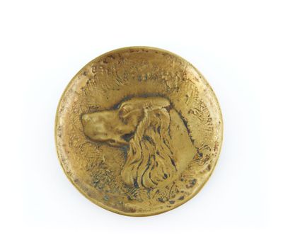 a close up of a gold coin with a dog on it