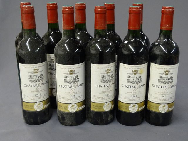 BORDEAUX, CHATEAU JAMIN, 10 bouteilles de 2005