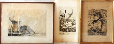 three framed pictures of a windmill and a windmill on a wall