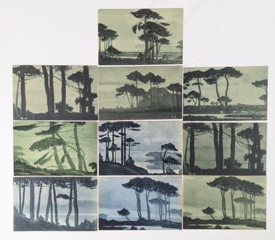 de nombreuses images différentes d'arbres sur fond blanc
