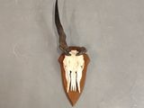 a picture of a deer skull mounted on a wall