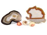 two pieces of agate on a white surface