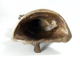 a close up of a small object on a white surface