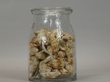 a glass jar with shells in it on a table