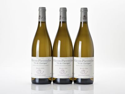 trois bouteilles de vin blanc posées l'une à côté de l'autre sur une surface blanche