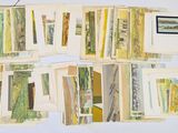 a lot of cards that are on a table