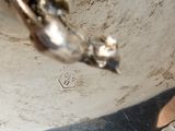 a silver plate with a bird on it and a knife in it