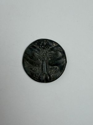 une pièce de monnaie sur laquelle est représenté un arbre, sur un fond blanc