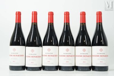 six bouteilles de vin rouge sont alignées sur une surface blanche